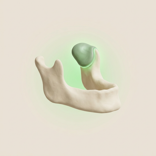 Rebuild & Protect Cartilage